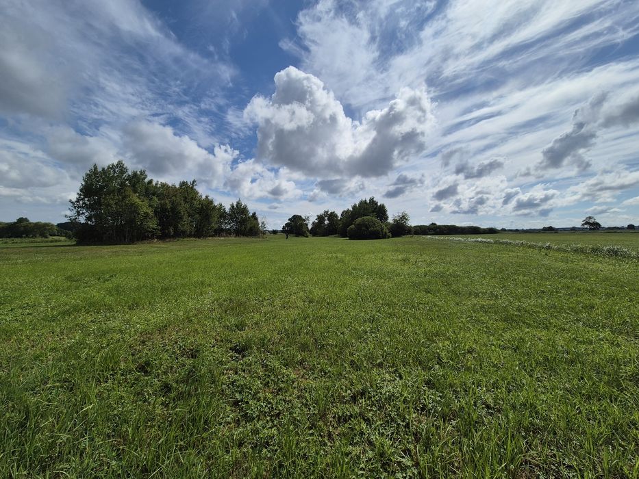 Działka – łąka 4694 m² – Dobrzyniewo Kościelne