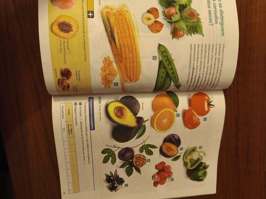 Terra à Vista, parte 2. Portes Incluídos