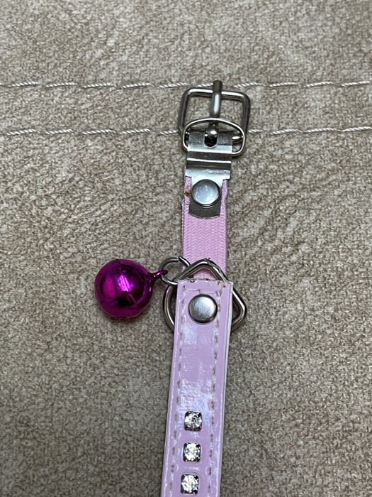 Продам ошейник для маленький пород собак или котов ( кошек)