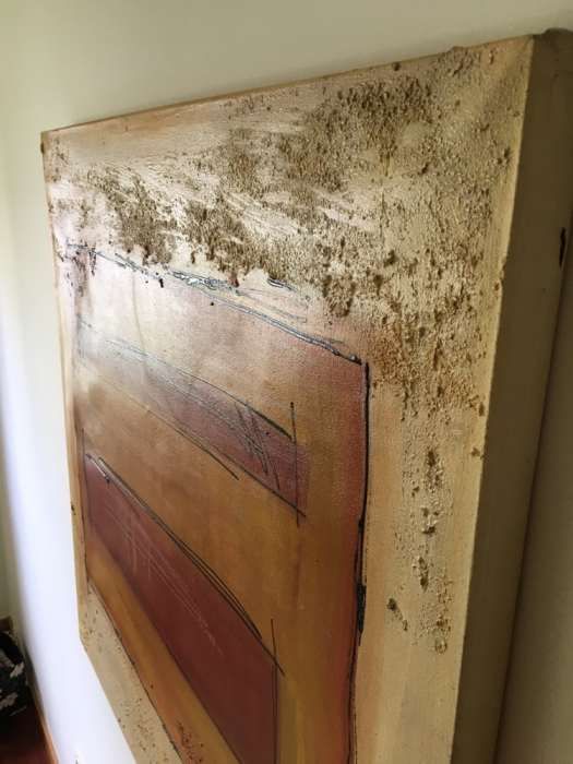 Quadro / Tela pintada 100x100cm Jane Mari