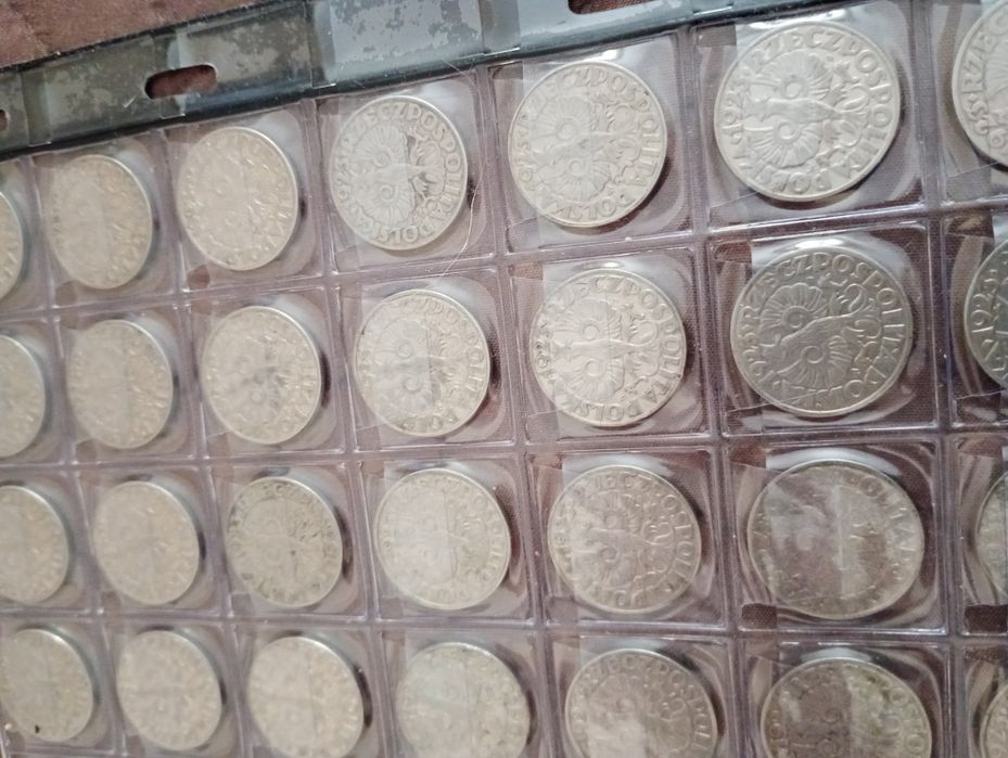 50 gr 1923 Miedzionikiel