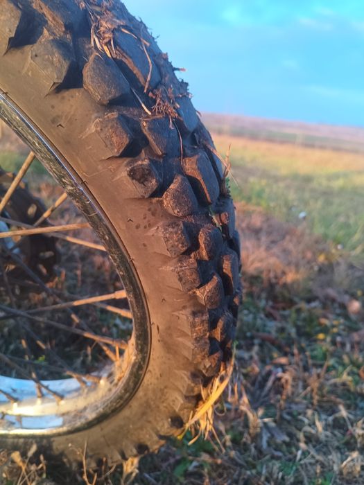 Продам лось 250 лонцін