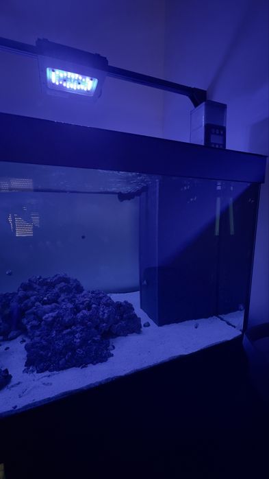 Aquário completo, com sump e material (na garantia)