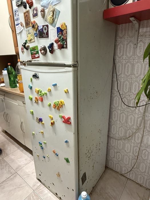 Figorifico  com marcas de uso