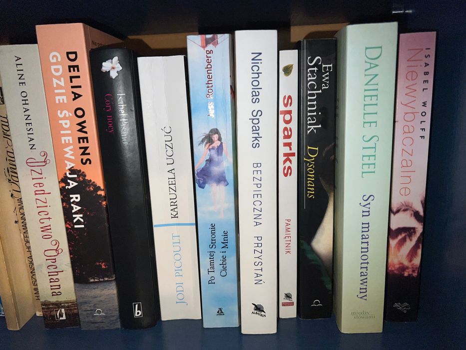 Książka Nicholas Sparks „Bezpieczna przystań” Nikolas Nicolas Sparks