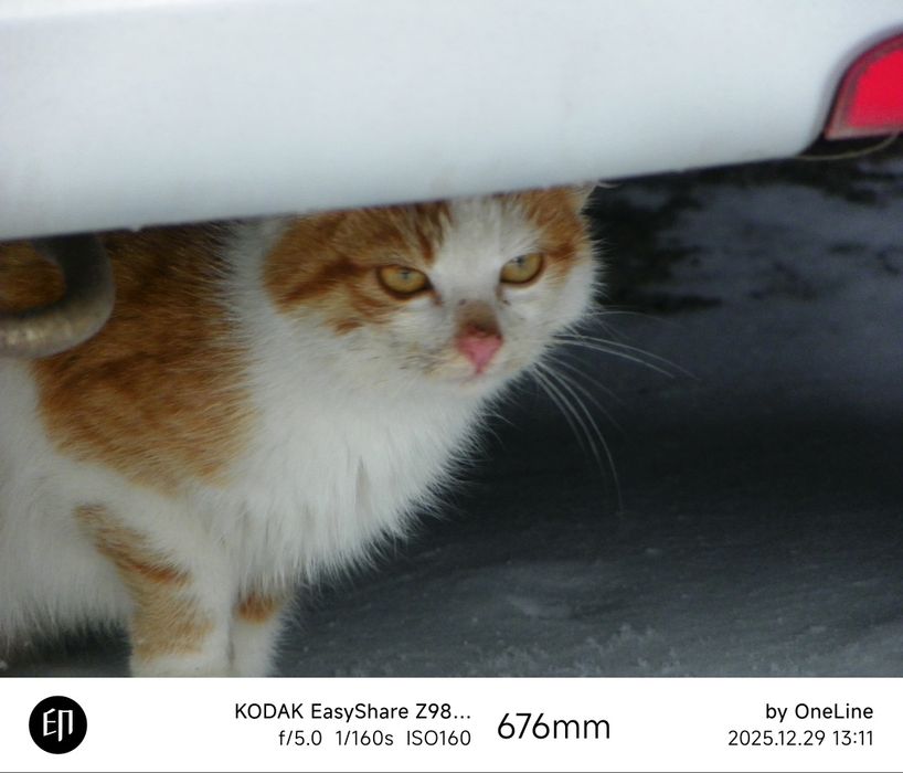 Фотоапарат Kodak