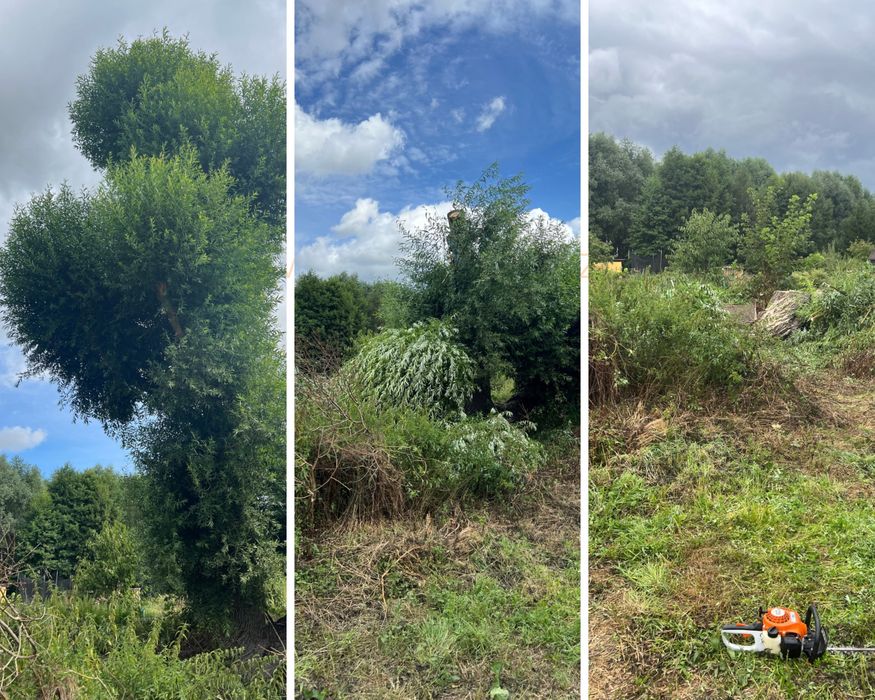 USŁUGI ARBORYSTYCZNE- wycinka drzew, przycinanie koron drzew- Szczecin/ Police