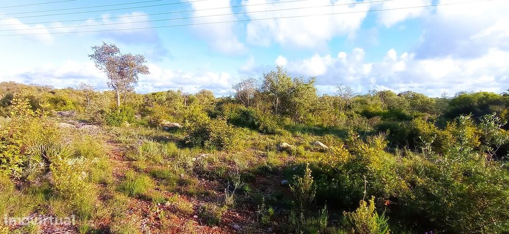 Terreno Rústico  Venda em Conceição e Estoi,Faro
