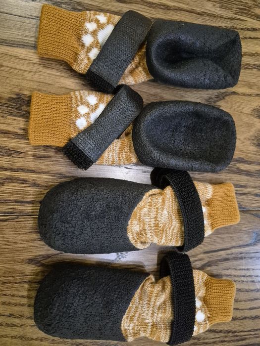 Взуття для собак