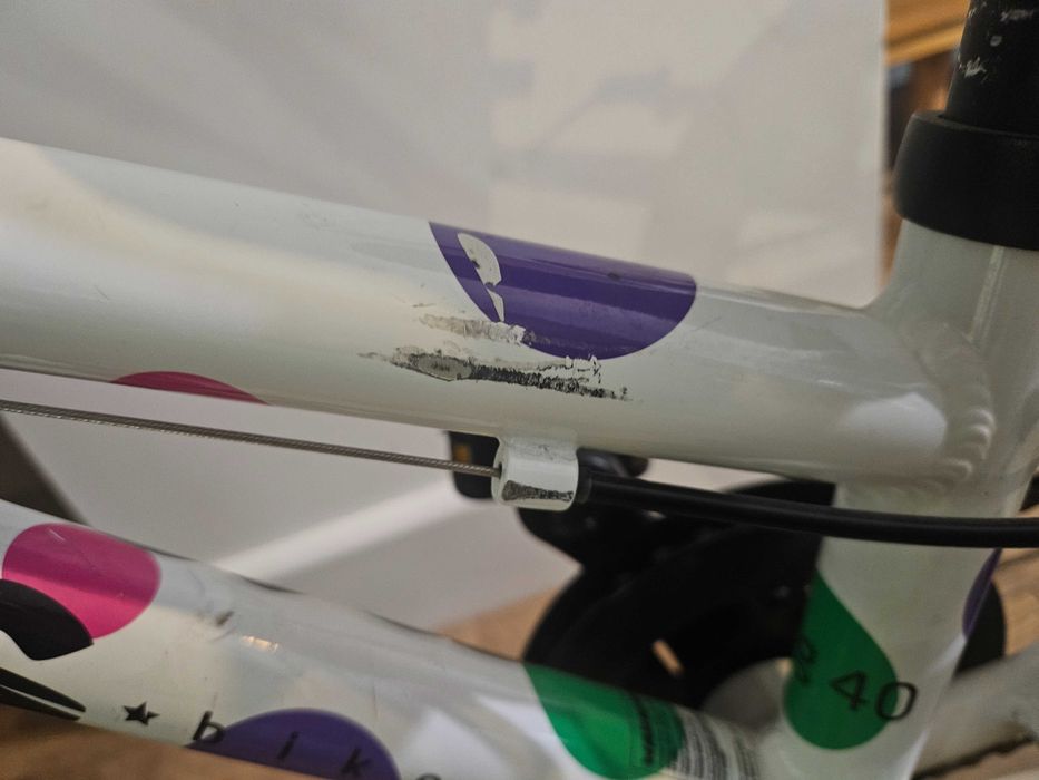 Rower Frog 14" Wrocław