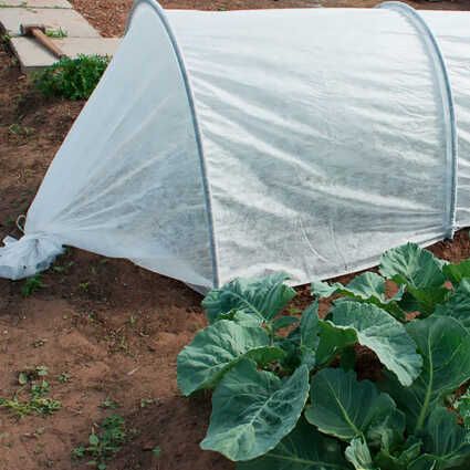 Агроволокно  бІле  Уф 4% .