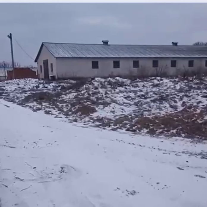 Оренда виробничих будівель 520 кв.м. теритрії 0,6 г