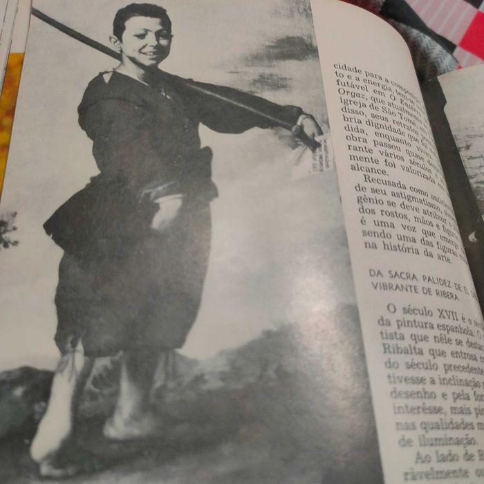 O Novo Tesouro da Juventude 16