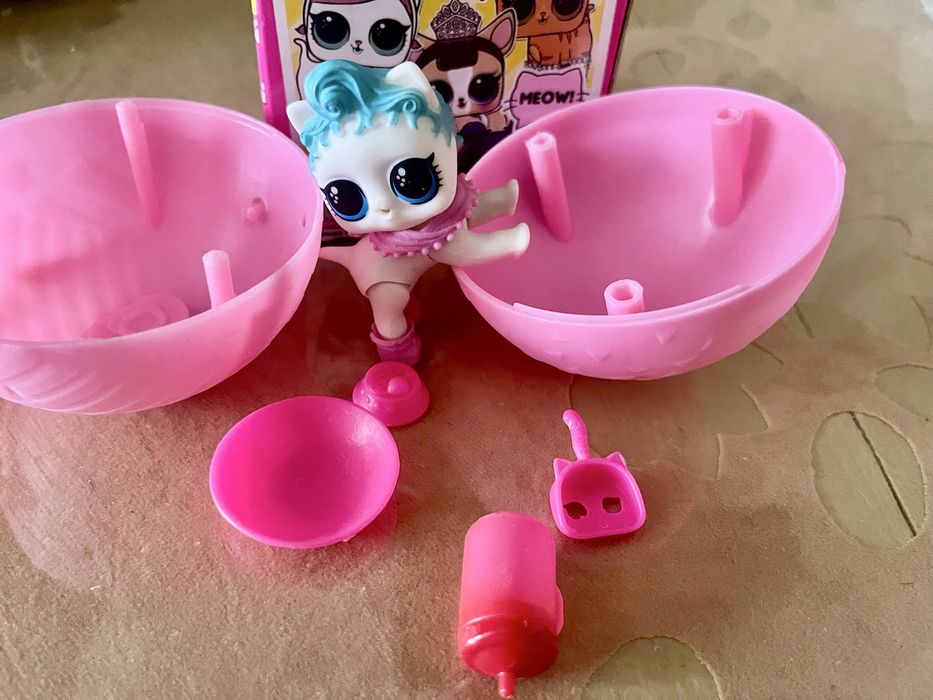 Кошка LoL  в коробке