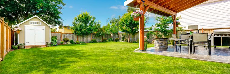 АКЦИЯ! Газон ЖАРА Универсал засухоустойчивый 1кг для озеленения семена