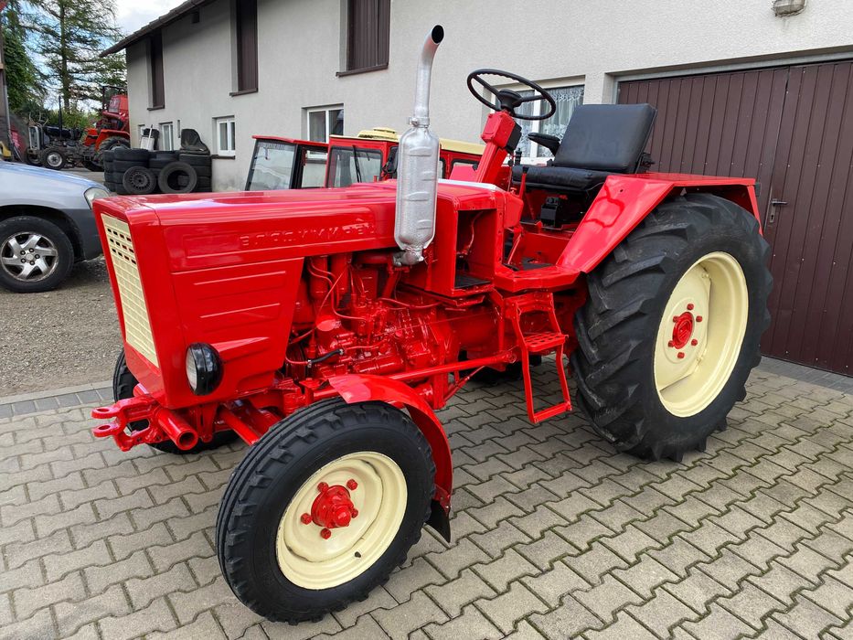 WŁADIMIREC T25 - zarejestrowany - z rewersem - bez wkładu finansowego