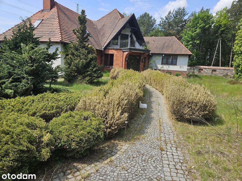 Syndyk sprzeda działkę 0,5 ha wraz z udziałem w domu w Człuchowie