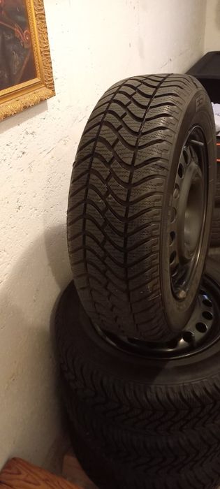 Ризина з дисками