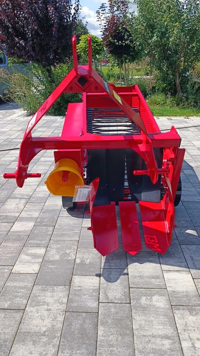 Kopaczka ogrodowa