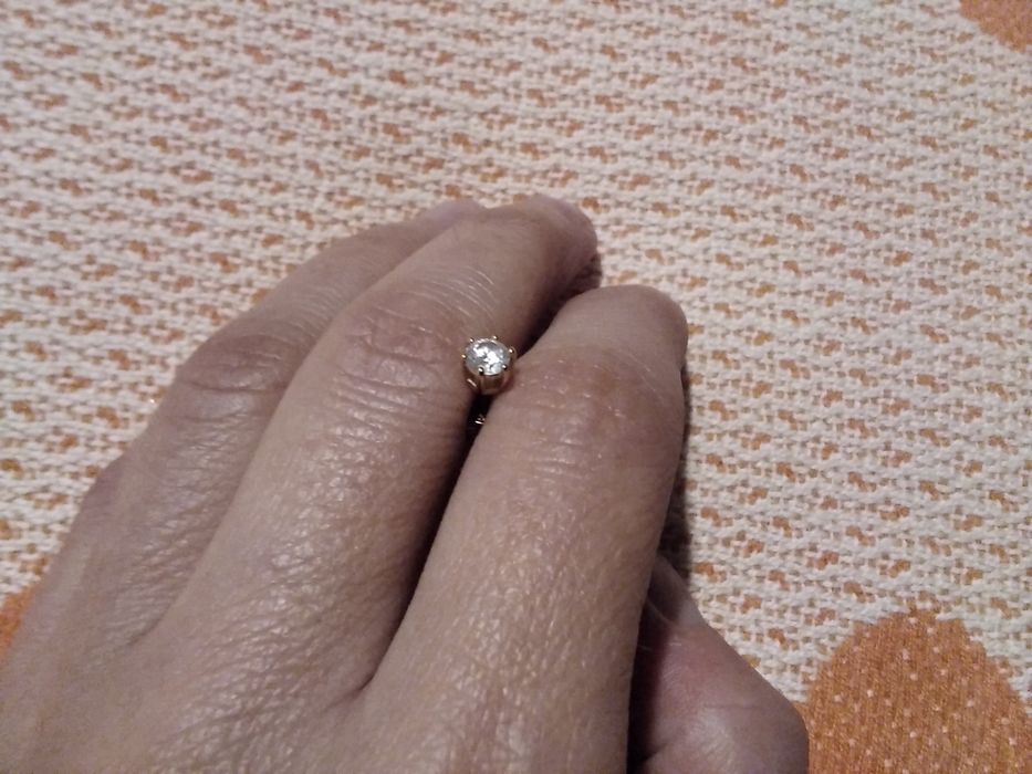 Золотая  сережка гвоздик