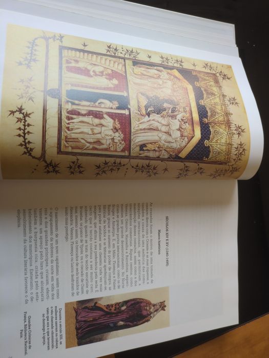 História da Moda de Madeleine Delpierre