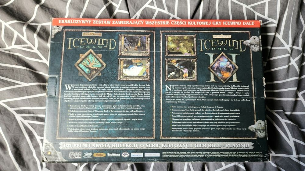 Saga Icewind Dale