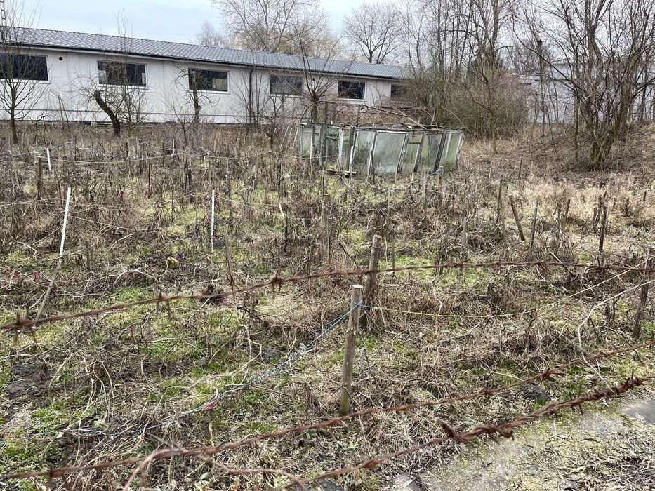 Sprzedam działkę budowlaną - rekreacyjną.