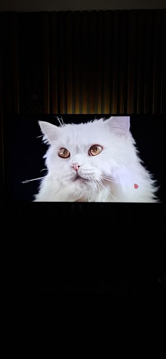 Телевизор LG (55", 4K)HDR