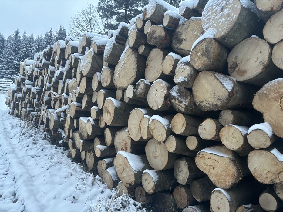 Drewno opałowe buk metry