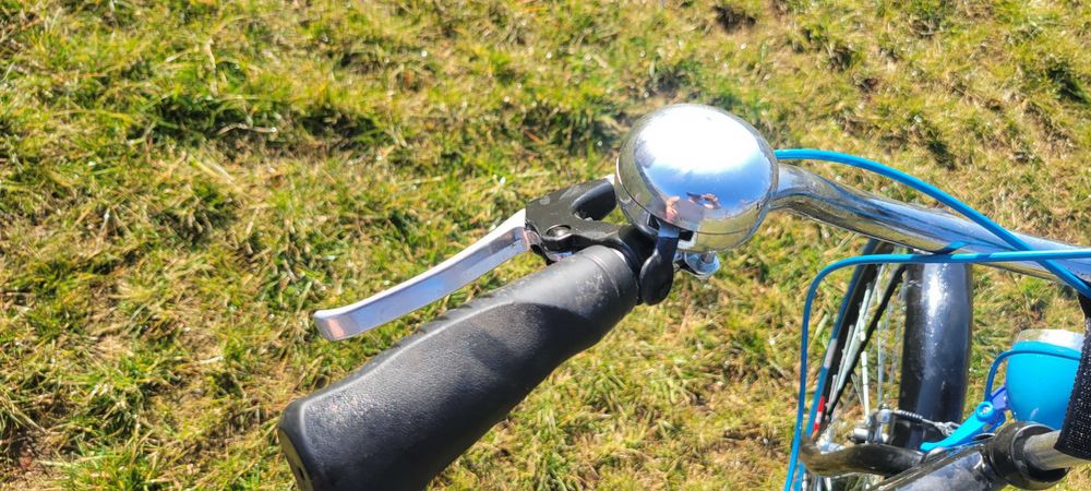 Rower Dallas Cruiser Men 28" 3spd Golden Eagle
