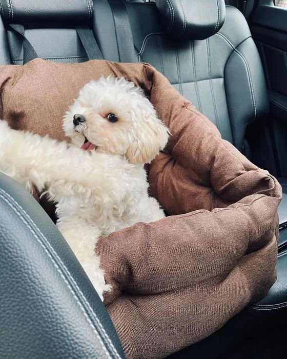 Автокресла для собак колір світло-коричневий