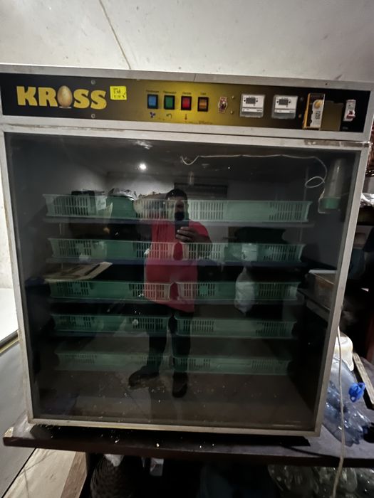 Інкубатор автоматичний