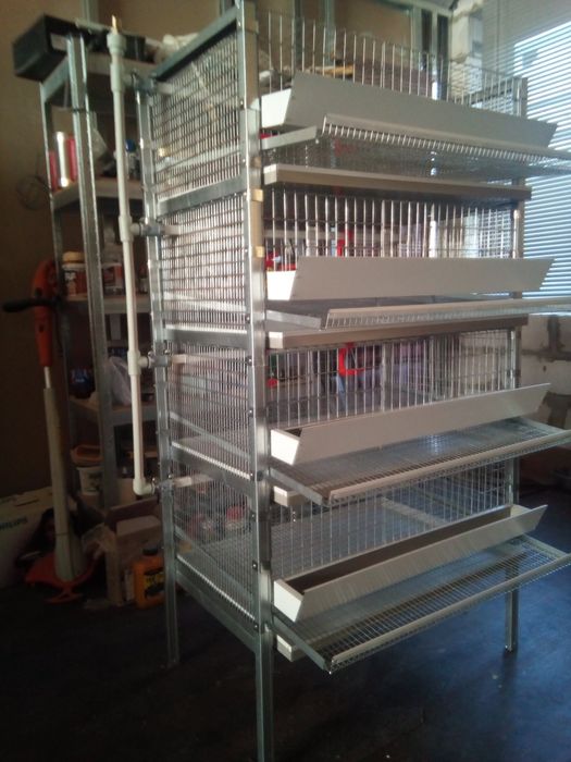 Клвтки для перепелів (Оплата частинаии)