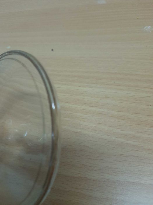 Copos coleção Sporting Clube Portugal