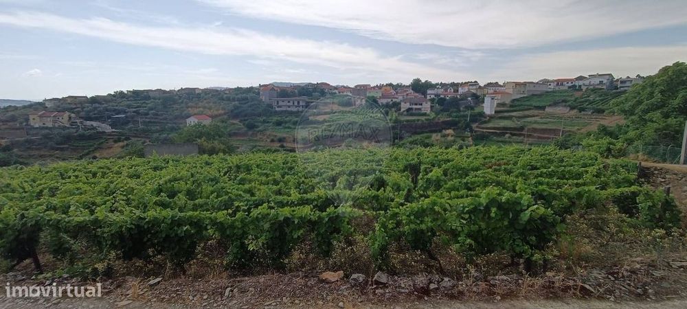 Terreno  para venda