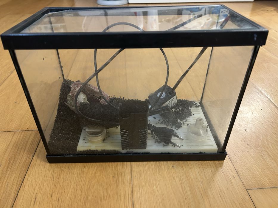 Aquario peixes agua fria