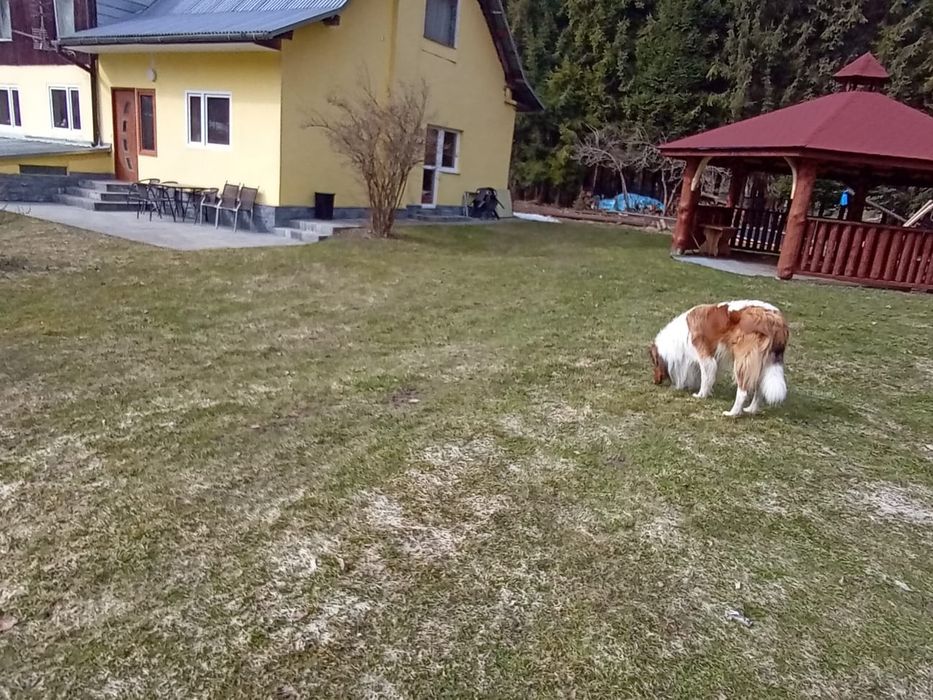 Pokoje w pensjonacie w Ustrzykach Dolnych