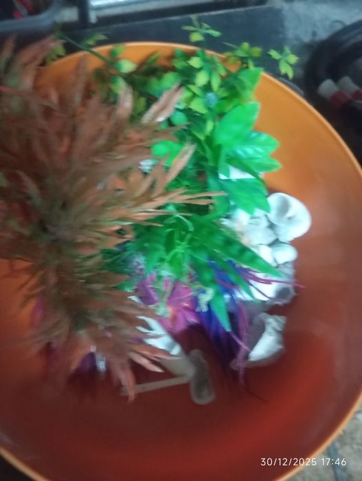 Vendo aquário 250L de água completo