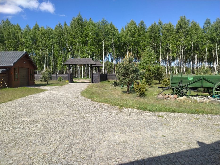 Sauna, Ruska Bania, Jacuzzi, Dom na wylącznosć Las, Jeziora