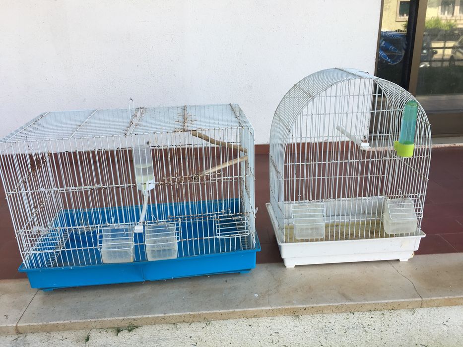 Duas Gailas grande 10 euros