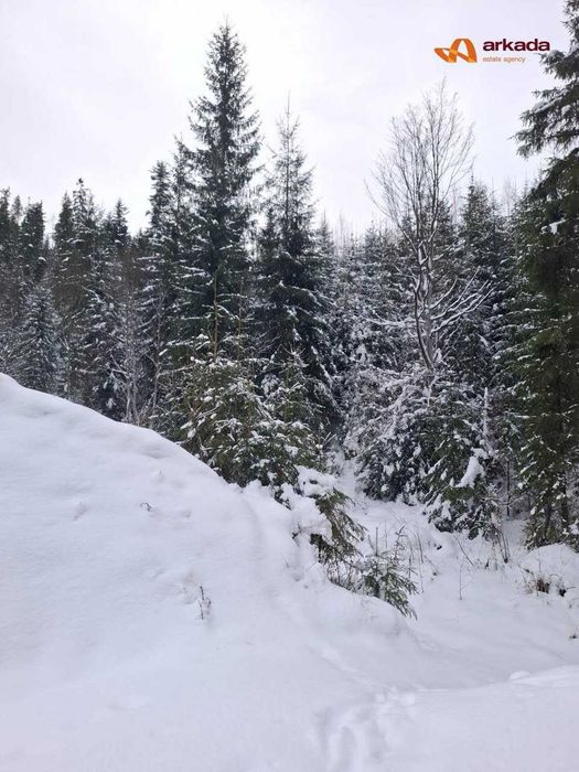 Продам земельну ділянку в Буковелі 65сот