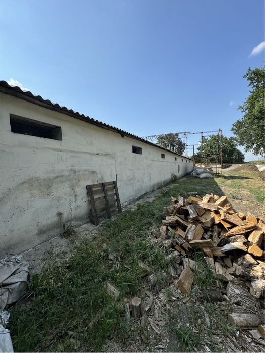 Продам помещение с. Голубовка