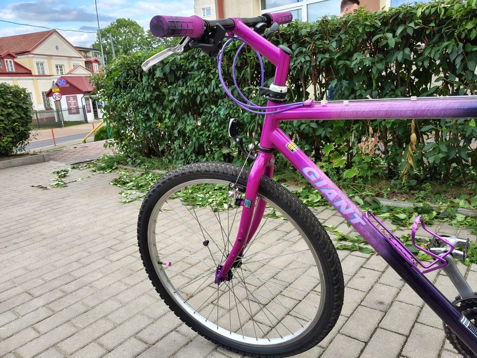 Giant Terrago retro MTB