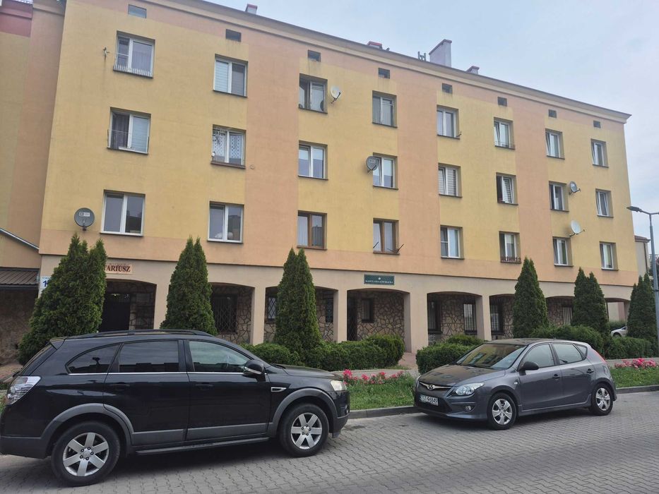 Zdjęcie 7