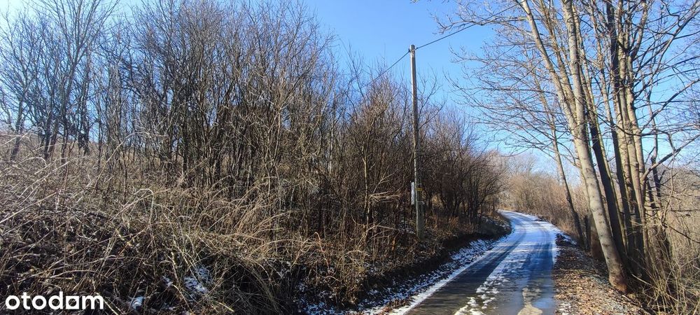 Działka budowlana WIDOKOWA, Jeleniów, okolice Kudowa-Zdrój, potencjał - Widok 4