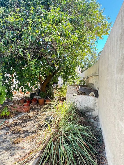 Preço Revisto | Moradia Rústica T3 com jardim, garagem e anexo