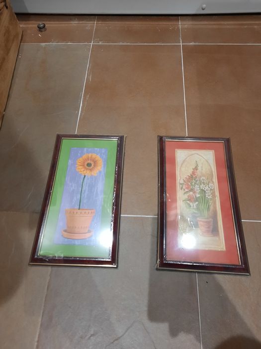 Quadros sobre plantas