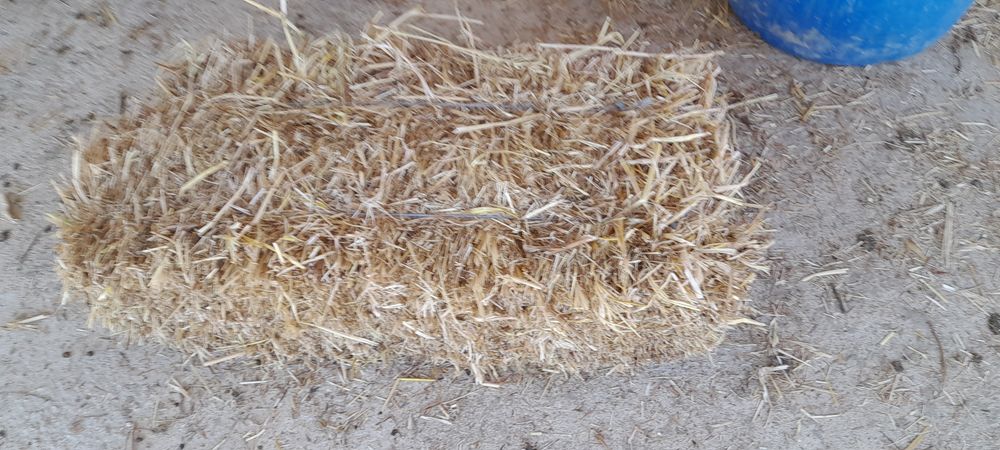 Fardos de palha pequenos deste Ano