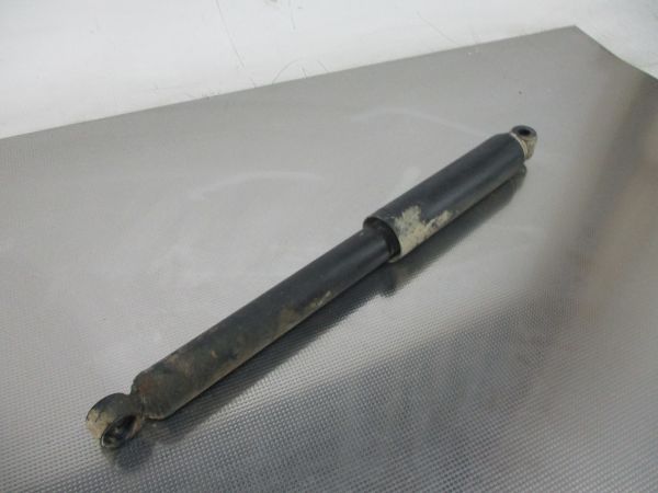 Amortecedor trás esquerdo NISSAN Terrano II (R20)