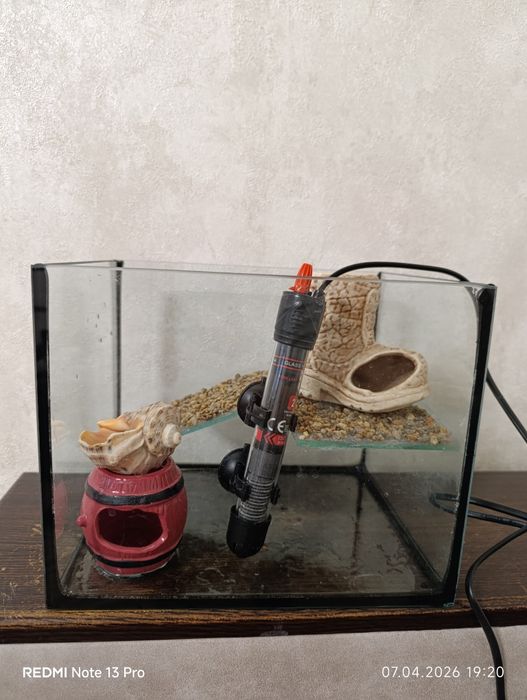 Акваріум для черепах